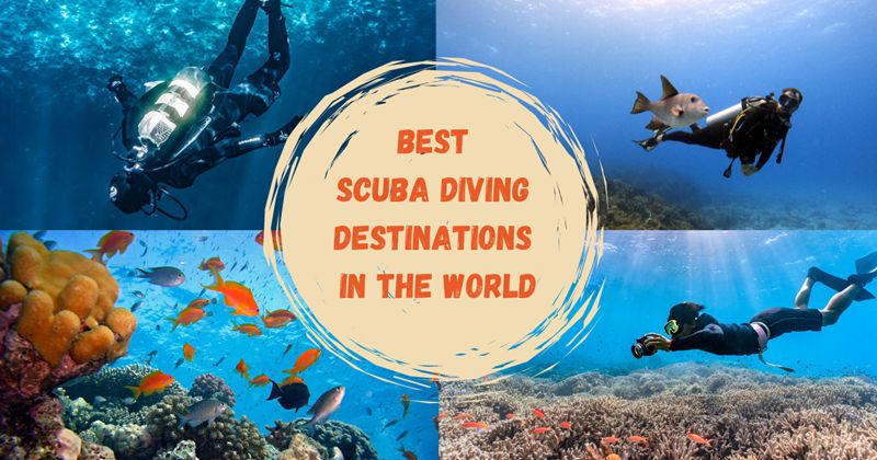 CampingFeed's tweet photo. 🌊✨ Ready to plunge into an aquatic adventure? Explore the Best Scuba Diving Destinations in the World with our latest article on Camping Feed! 🐬🤿 ScubaDiving #UnderwaterAdventure #ExploreTheOcean #CampingFeed 

Read more: https://t.co/Eh3ZlH6KTD 

#ScubaDiving #Underwater https://t.co/a57vrXG6S7