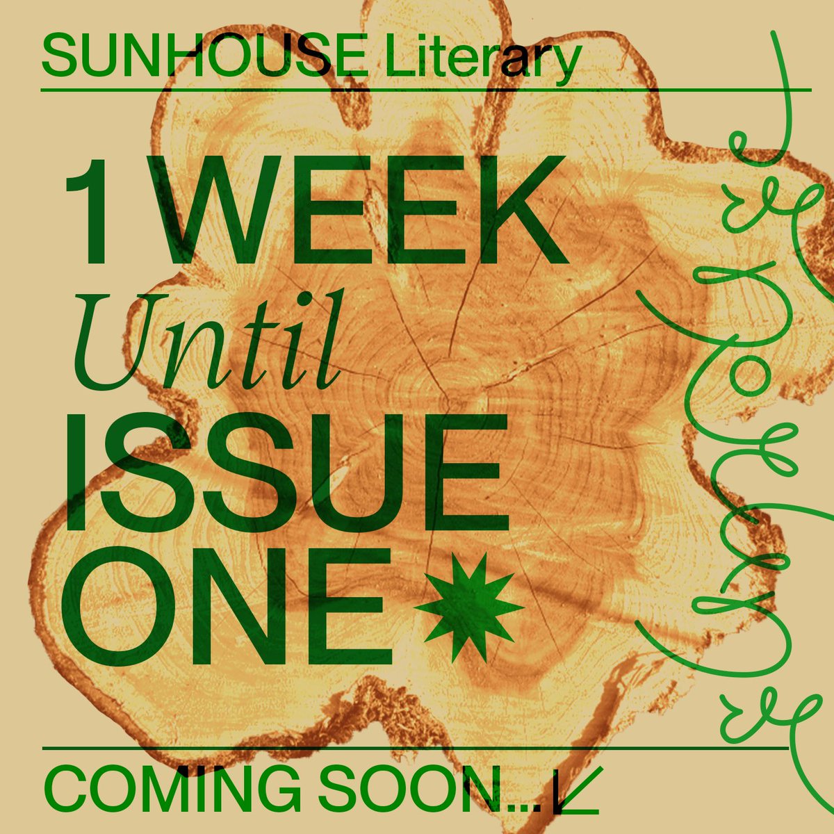 sunhouseorg's tweet image. Issue 1 of SUNHOUSE will be arriving on Feb 4, 2024! Who’s excited? 🌞🪴🌾🍵 ✺