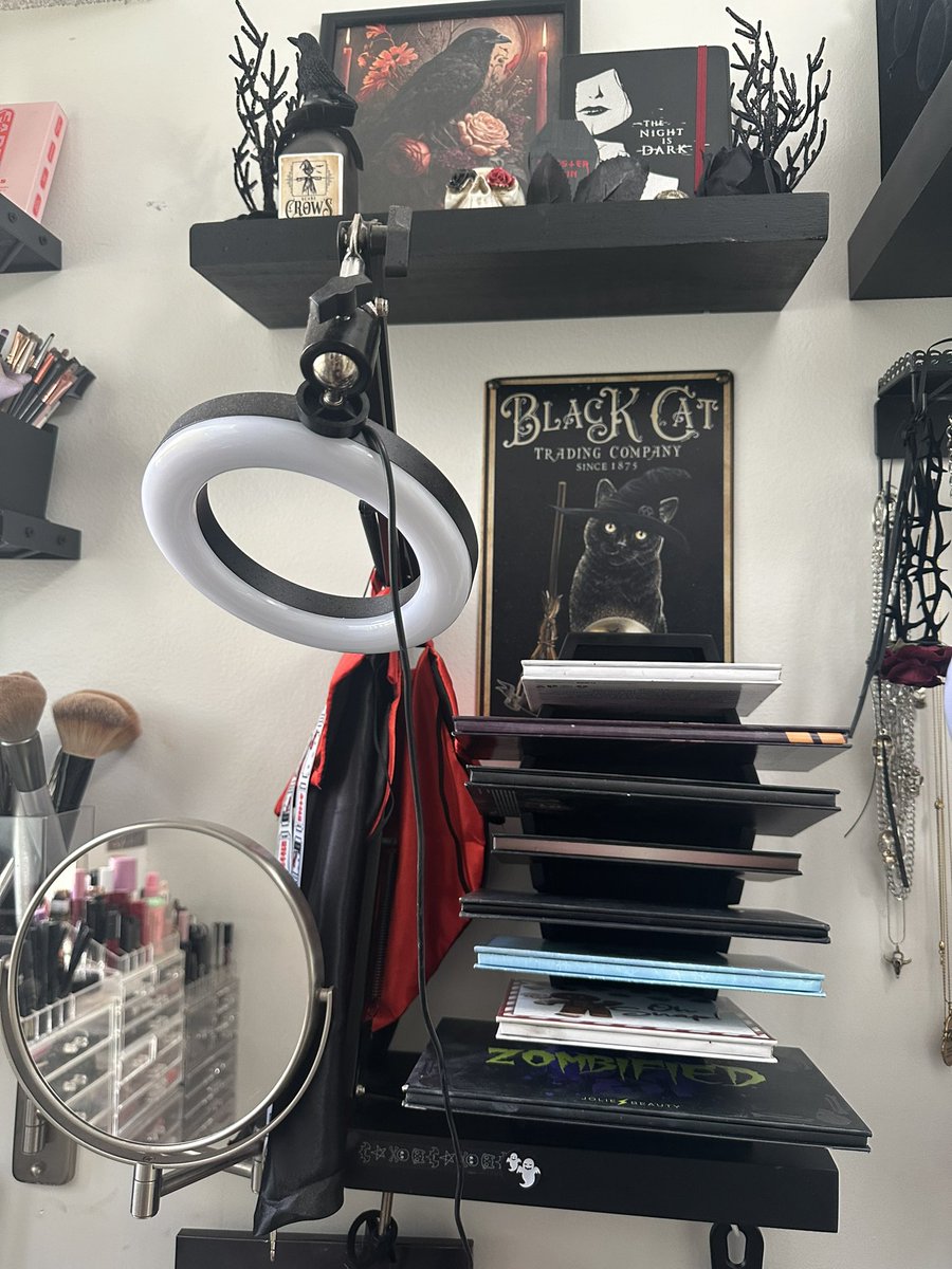 twisted_doll_'s tweet photo. Scored 2 new pieces for my makeup room - coffin shaped eye shadow pallet holder and a coffin shaped makeup brush holder. Next up is washing these brushes lol 😂. My room feels complete now! 🤩🖤🖤🖤#makeupobsession https://t.co/Ja45aAuegp