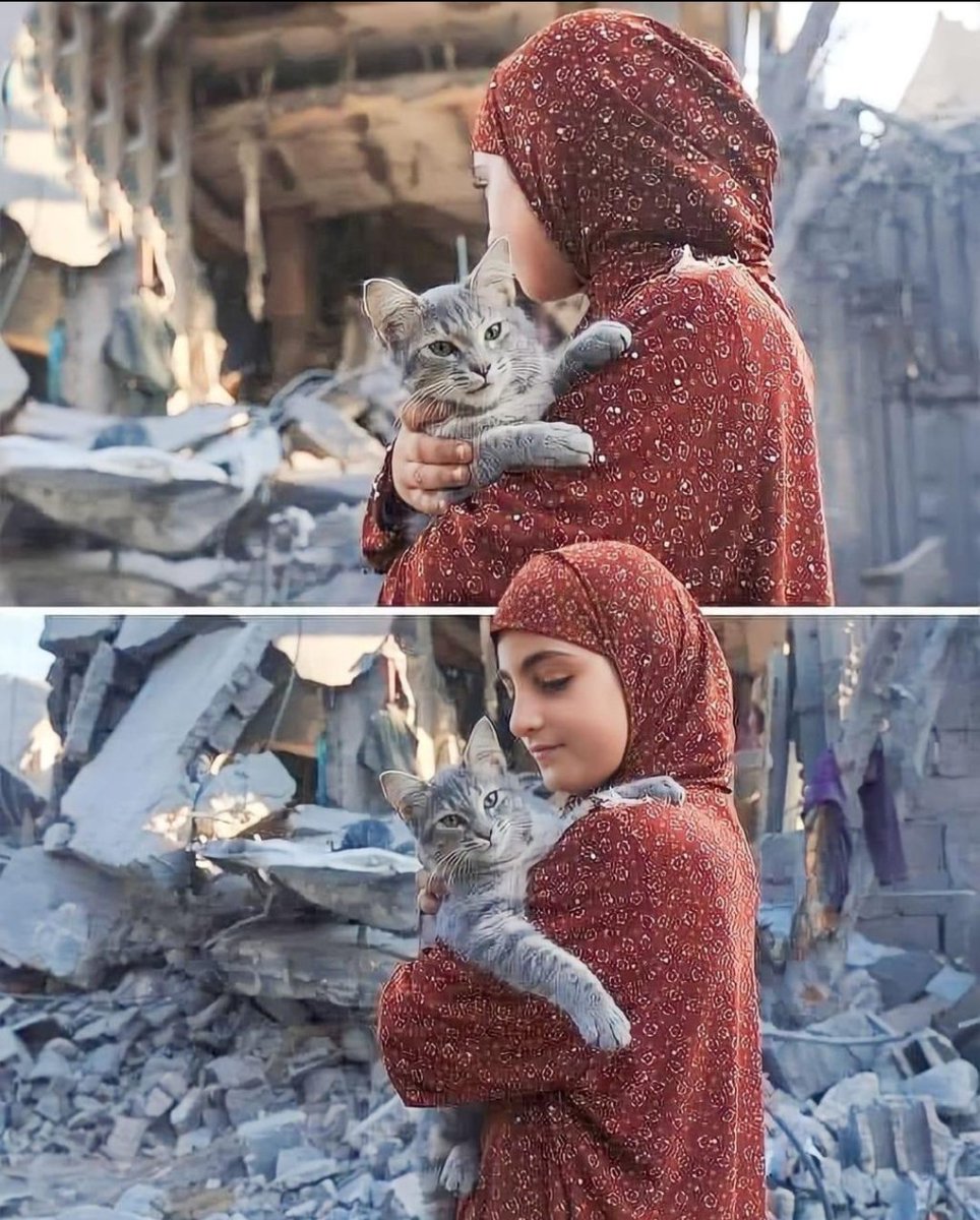 #Ebu_Ubeyde

❝ Cennete, kalpleri kuş kalbi gibi (saf ve temiz) olan insanlar girecektir. ❞

Hz.Muhammed (S.A.V)

—
#Texas Recep Tayyip Erdoğan
#FreePalestine #BoykotaDevam
#GazaStarving Murat Kurum F-35
#zorluyudurdurun #toki F-16 S-400
#YaşasınGazze #AirDropAidForGaza