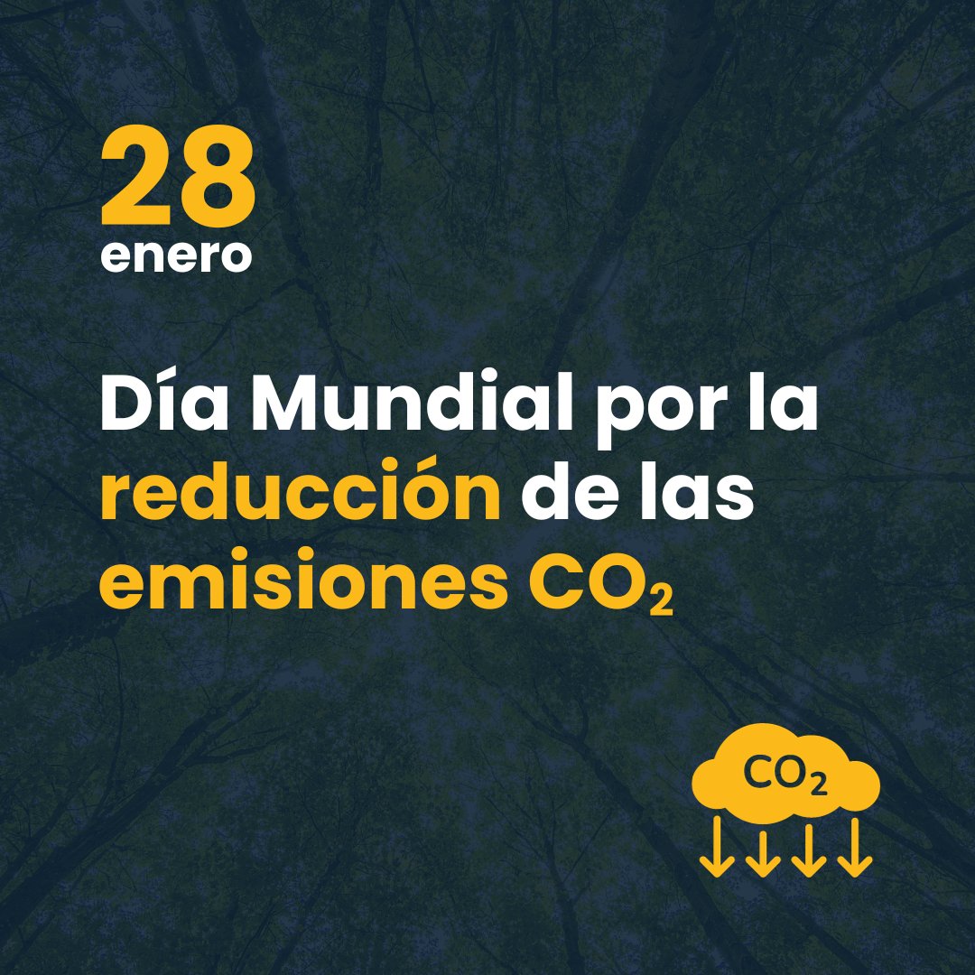 Hoy es el Día Mundial por la reducción de las emisiones de CO2.

Fieles a nuestro compromiso con la sostenibilidad ambiental. En 2023 los proyectos solares de Neolux Energy redujeron 112.642 toneladas de emisiones de CO2. Apostamos por el futuro de las empresas y el del planeta.