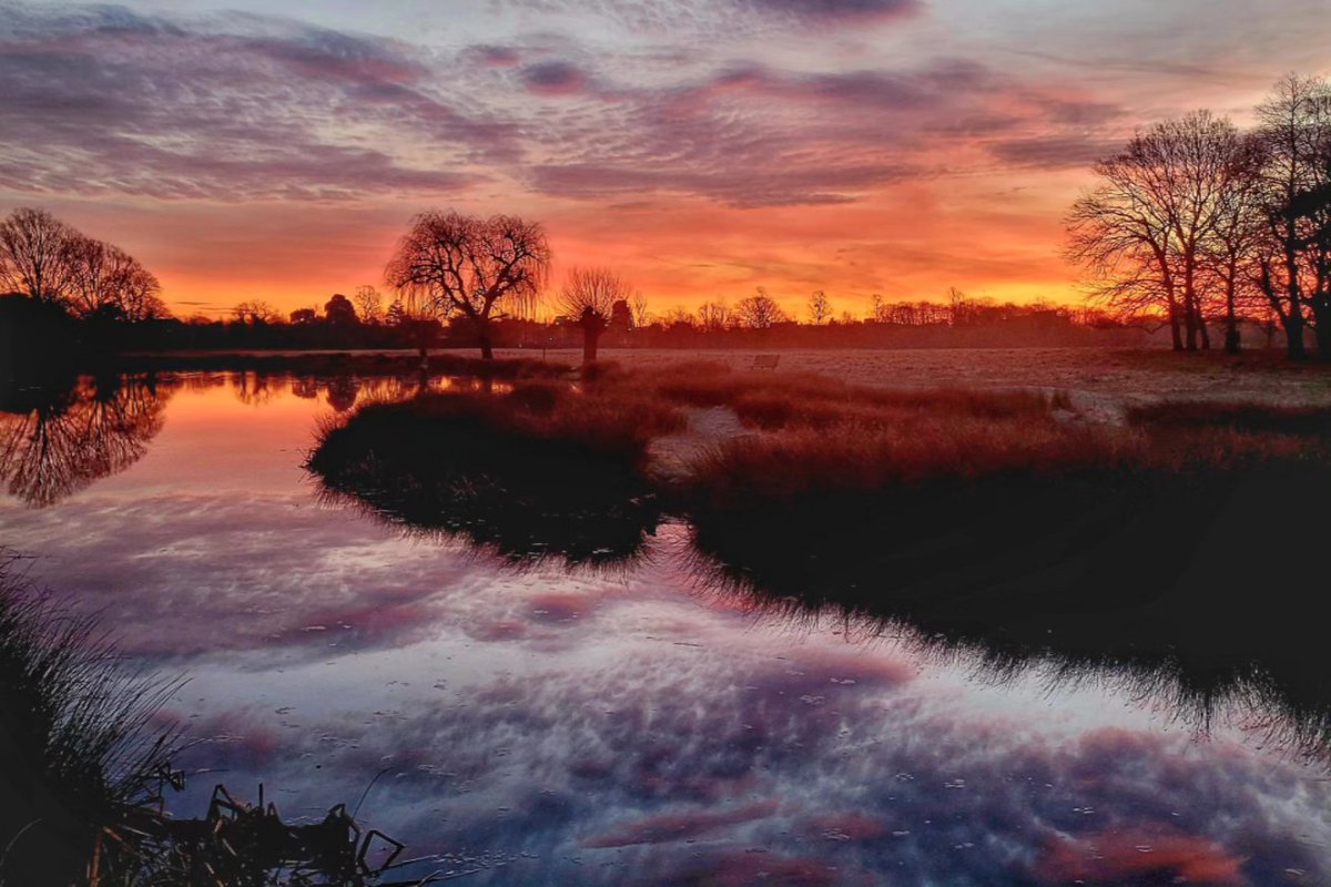 We were definitely treated to a stunning weekend of sunrises. #loveukweather #sunrise #bushypark #WeekendVibes @metoffice @theroyalparks @SallyWeather @itvlondon @Visit_Richmond1