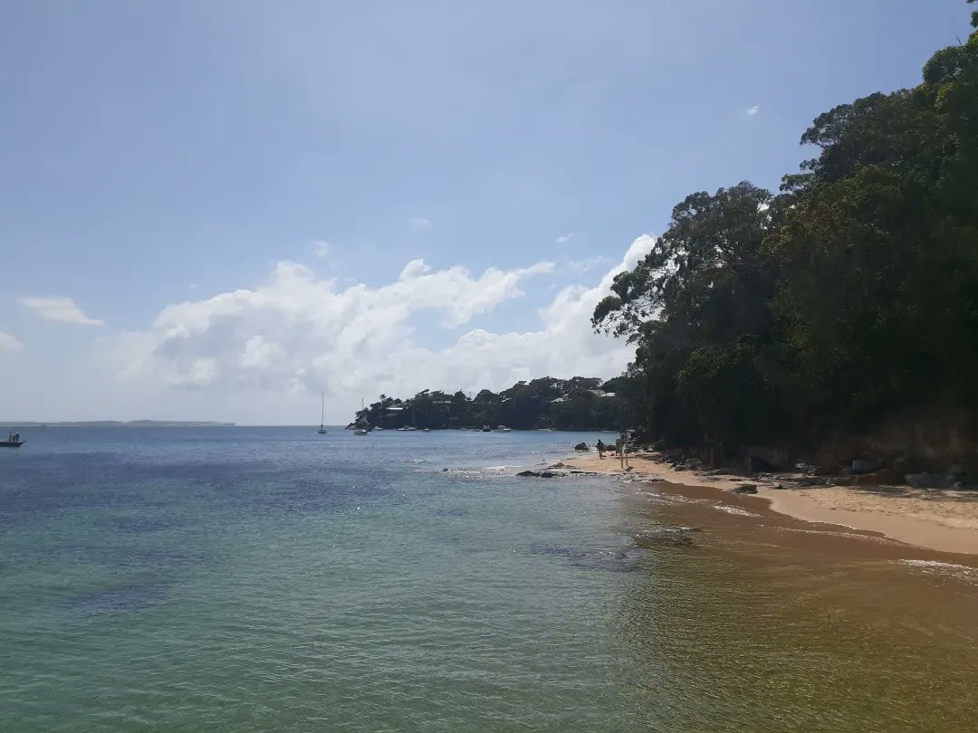 KennedCafe's tweet photo. Had some decent morning weather in Cronulla - so jumped on the ferry across Port Hacking, for a very pleasant hike around Bundeena https://t.co/MiY7IhqZqt