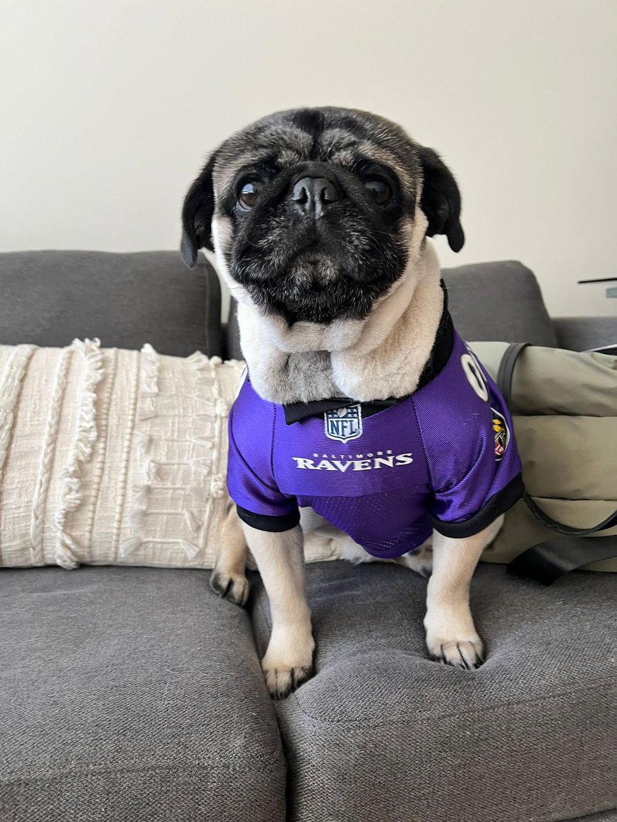 AngelOrtegaGam1's tweet photo. #TuPaseCompleto💜🖤 hasta el perro! https://t.co/ZO38NtgHKa