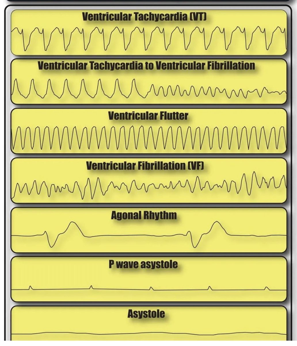 Oren Gottfried, MD tweet media