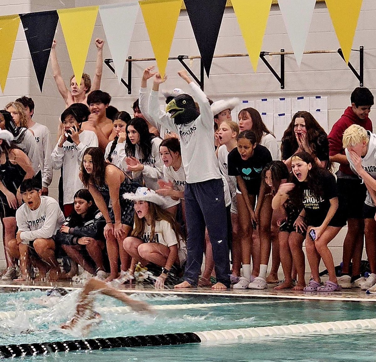 Katy ISD Athletics tweet media