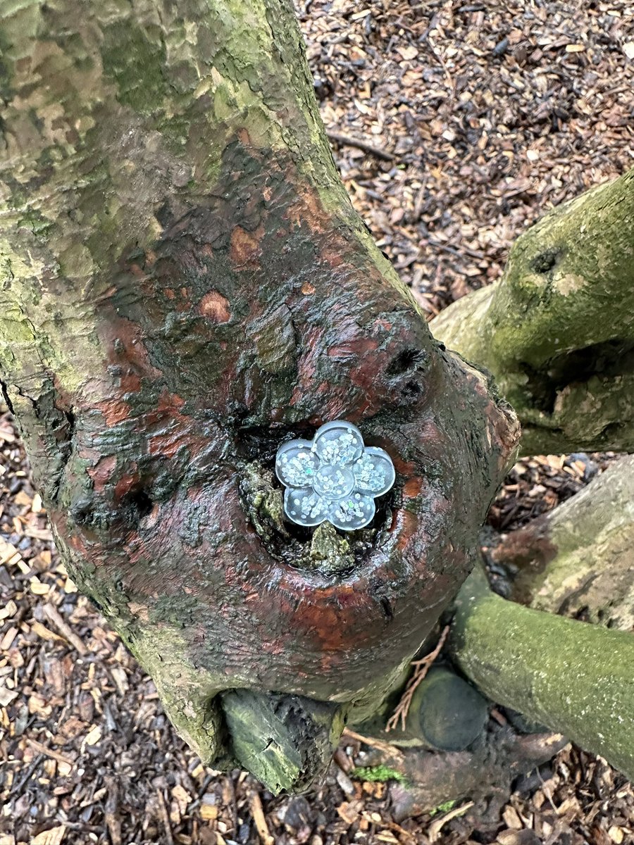 ptmonkey5's tweet image. Speading some love in all the Wright places!! #monkeyshines2024