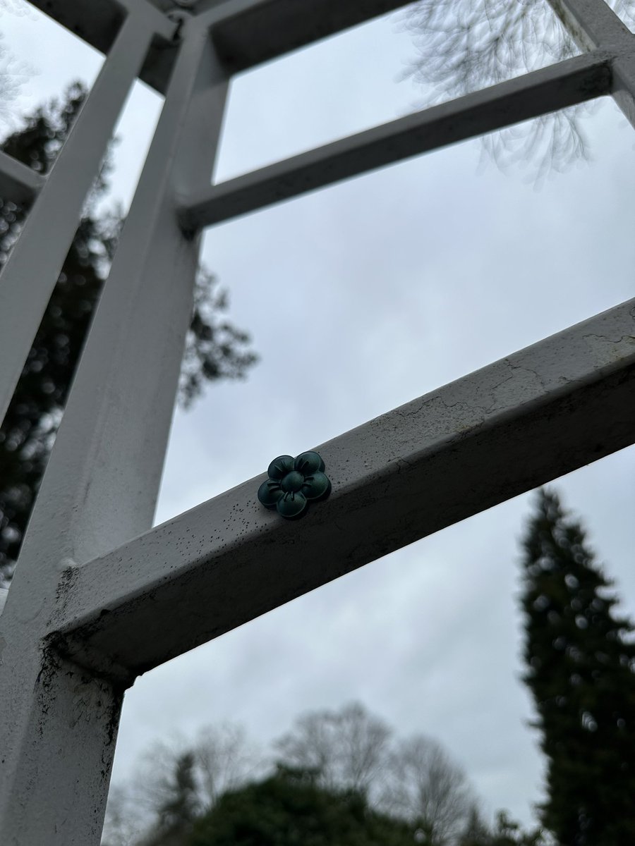 ptmonkey5's tweet image. Speading some love in all the Wright places!! #monkeyshines2024