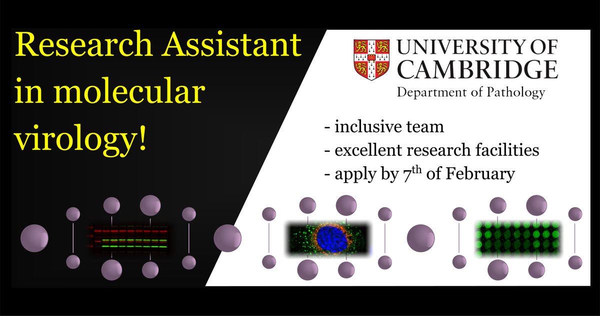 Our lab is looking for a Research Assistant-> jobs.cam.ac.uk/job/44688/