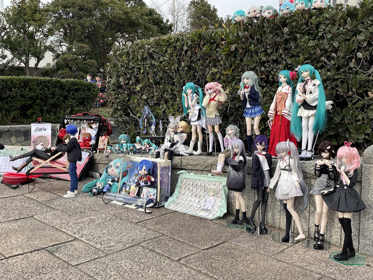 暁山瑞希 ,朝比奈まふゆ ,初音ミク ,東雲絵名 ,宵崎奏 「外でドール並んでたので撮らせていただいた みんな可愛い〜 」|怒りのトマト原稿ショーのイラスト