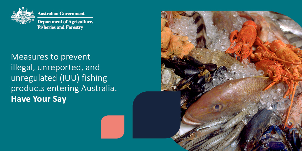 📢 We want your feedback on proposals to prevent the importation of illegal, unreported and unregulated (IUU) seafood into Australia.🐟🦐

👉 Find out more here: brnw.ch/21wGsYr

#haveyoursay