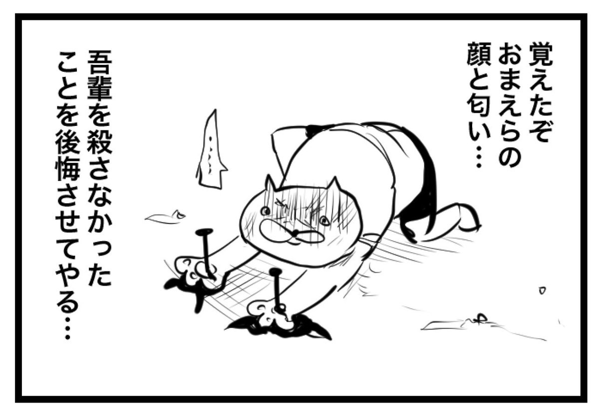 おてあげにゃんこ 