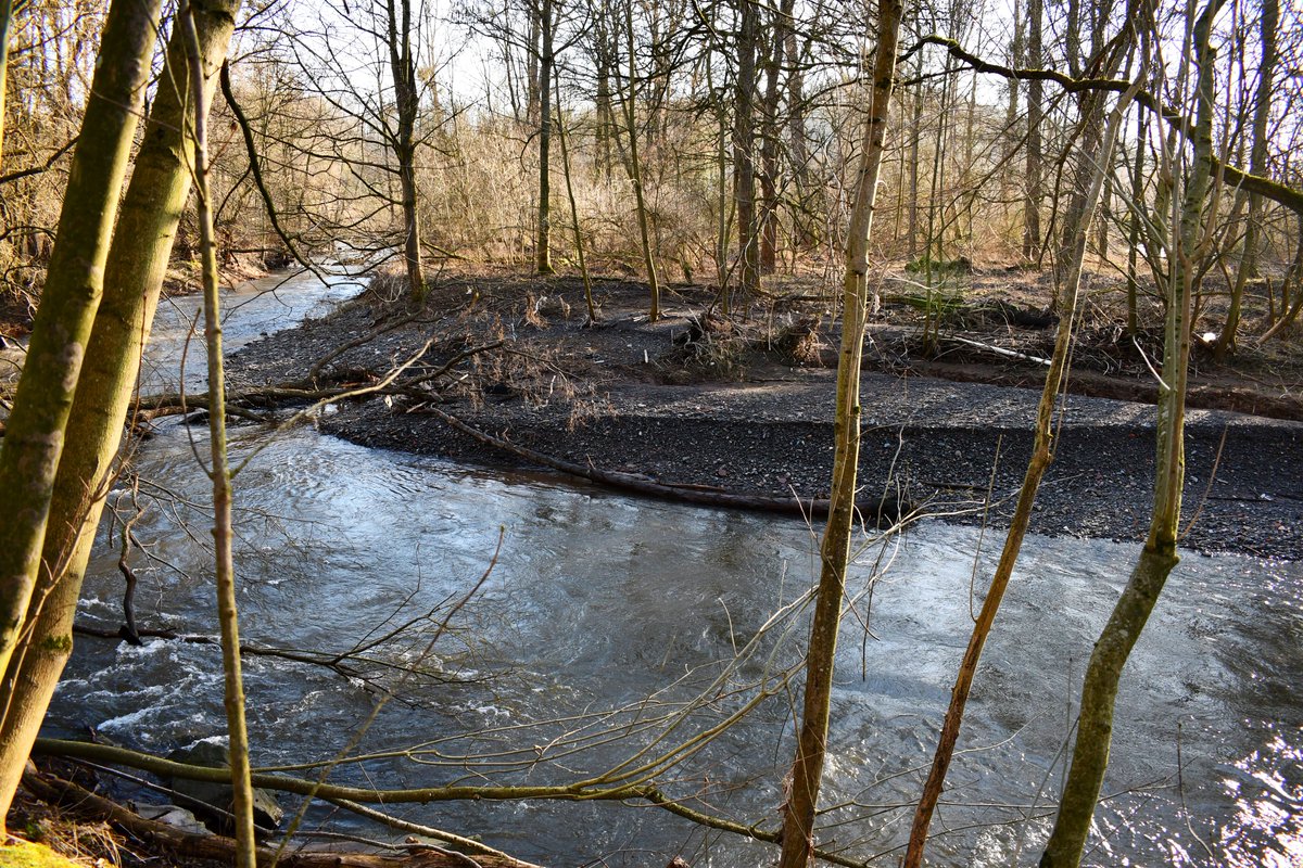 Ralph Eikenberg tweet media