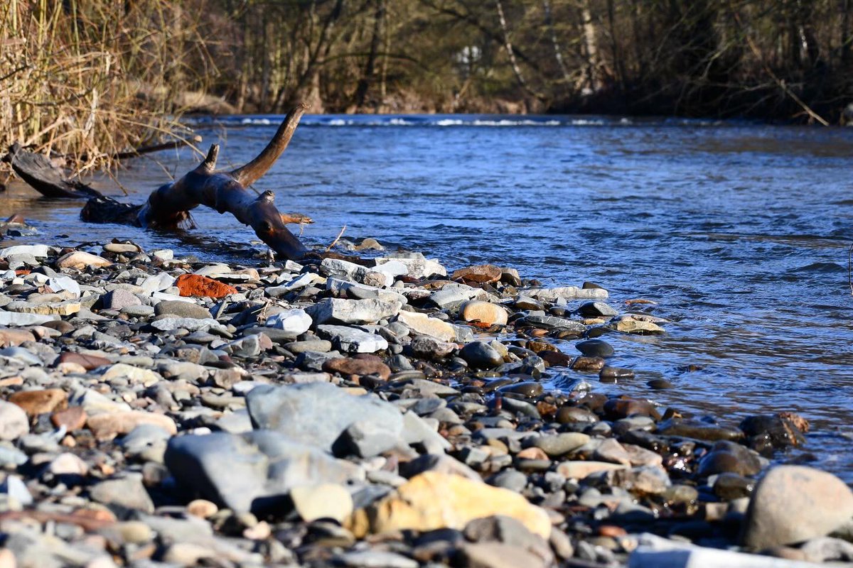 Ralph Eikenberg tweet media