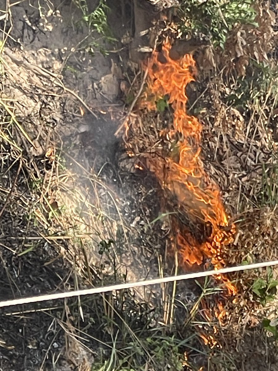 Esfoto23's tweet photo. Incendio forestal Panchimalco @BomberosSV https://t.co/7poRmCzT4Y