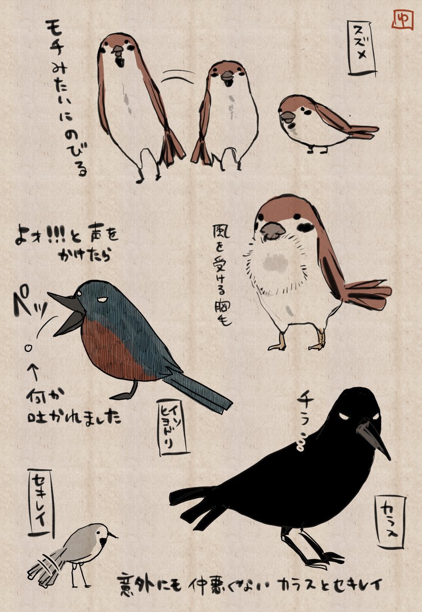 とりあえず連休を祝し連日観察し続けているトリたちを描きました(朝っぱらから) 