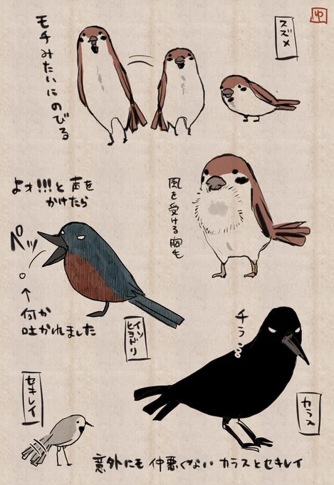 とりあえず連休を祝し連日観察し続けているトリたちを描きました(朝っぱらから) 