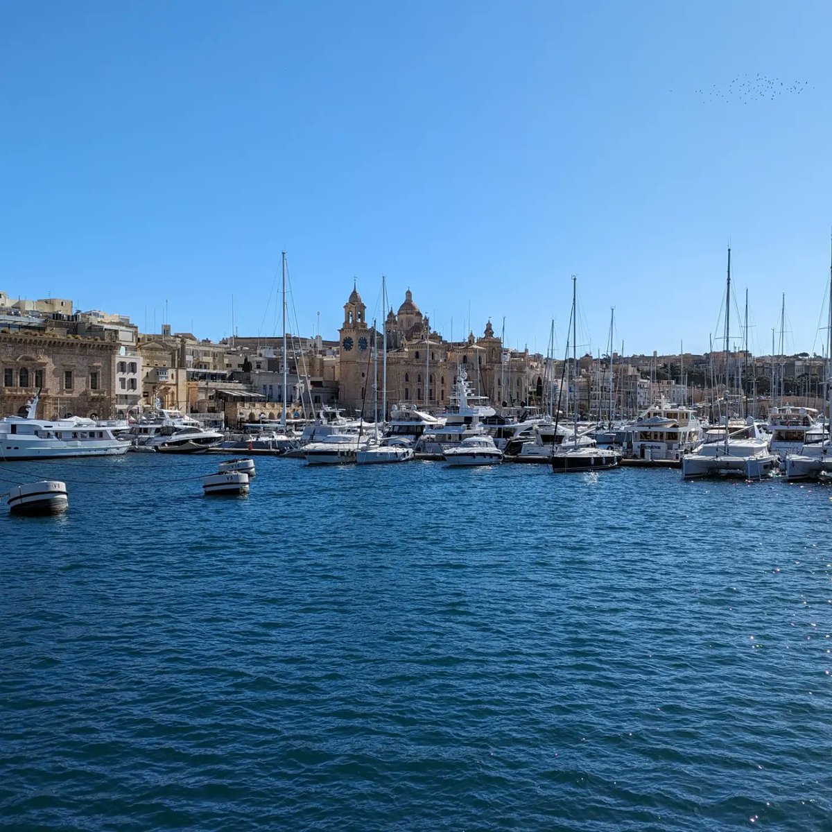 Valletta & three citys harbour tour 

#valletta #vallettamalta #vallettawaterfront #sliema #sliemamalta #sliemawaterfront #sliemaferries #harbourtour #harbour #grandharbourmalta #iseemalta #weshowyoumalta #citysightseeing #malta #visitmalta #sightseeing

@VisitMalta @VisitMaltaUK