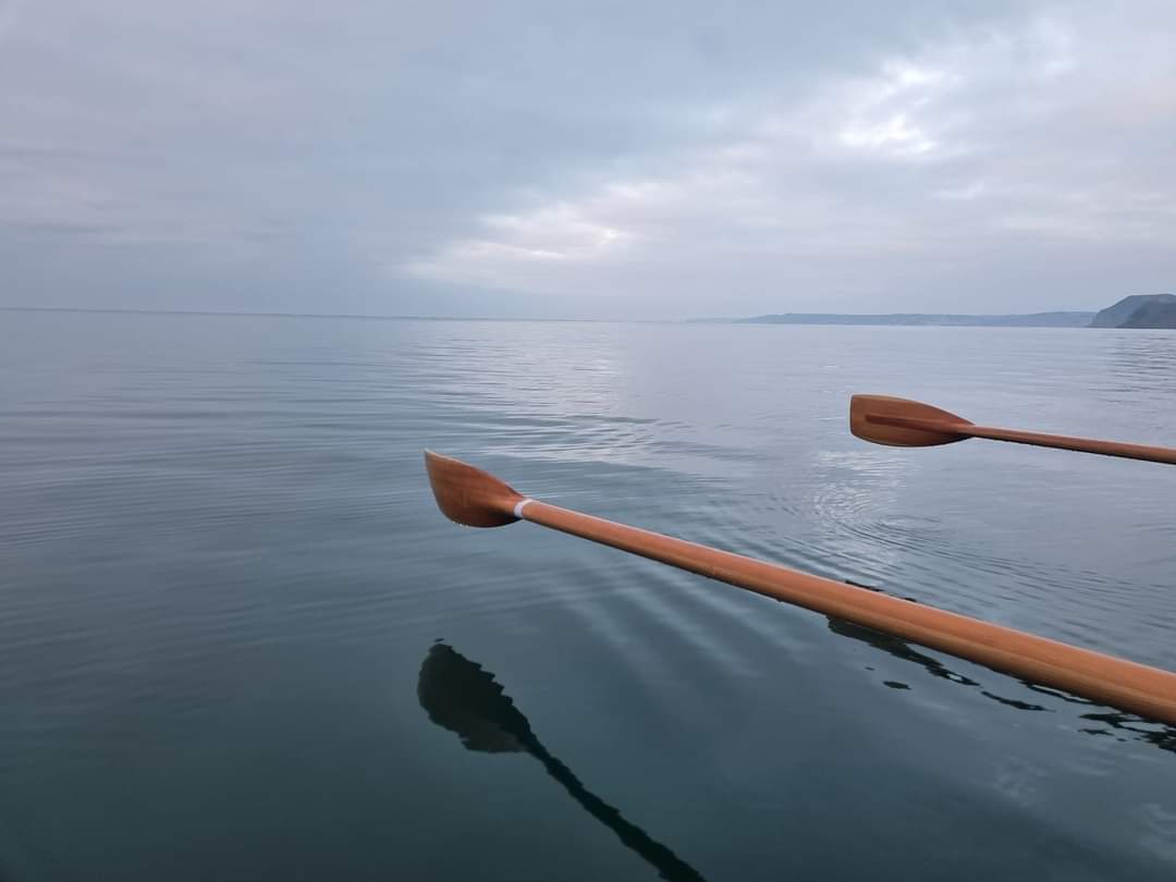 Kate ✨️ tweet media