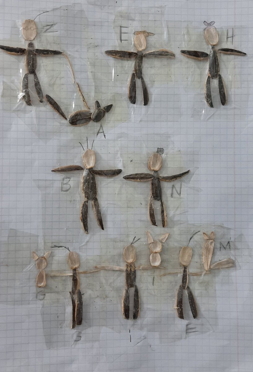 CaptrexArt NFT tweet media