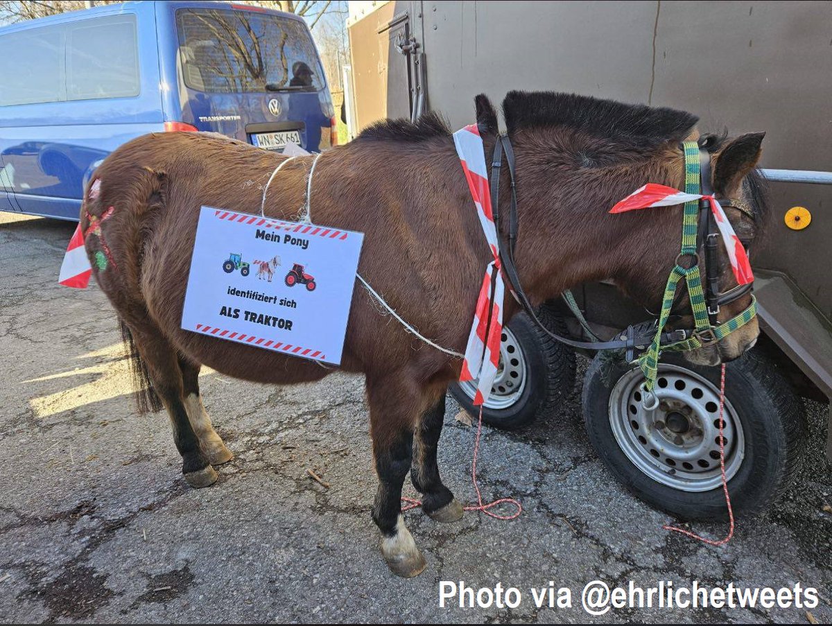 ehrlichetweets's tweet photo. Stuttgart 28.01.2024 #ReiterProtest & #BauernProteste
"Mein Pony identifiziert sich als Traktor"
Stuttgart (Germany) 01/28/2024 #FarmersProtest "My Pony identifies as a tractor"
Stoccarda (Germania), 28 gennaio 2024 #ProtesteAgricoltori "il mio pony si identifica come un trattore"
Stuttgart (Allemagne) 28 janvier 2024 : #AgriculteursEnColere "mon poney s'identifie comme un tracteur"