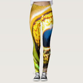 LowellMcnamara's tweet photo. https://t.co/IchwJzuNJ6 #DifferentLook #leggings #Yoga #yogapants #Gifts #Giftideas #Zazzle Original photography design by Daniel McNamara https://t.co/mhAnc90oZG