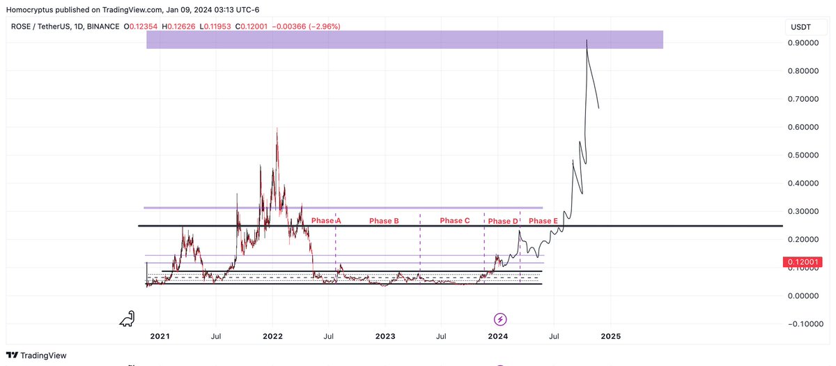 $ROSE parabolic move before 2025

Final target between $3-$6

One of the top coins to hold during the whole year