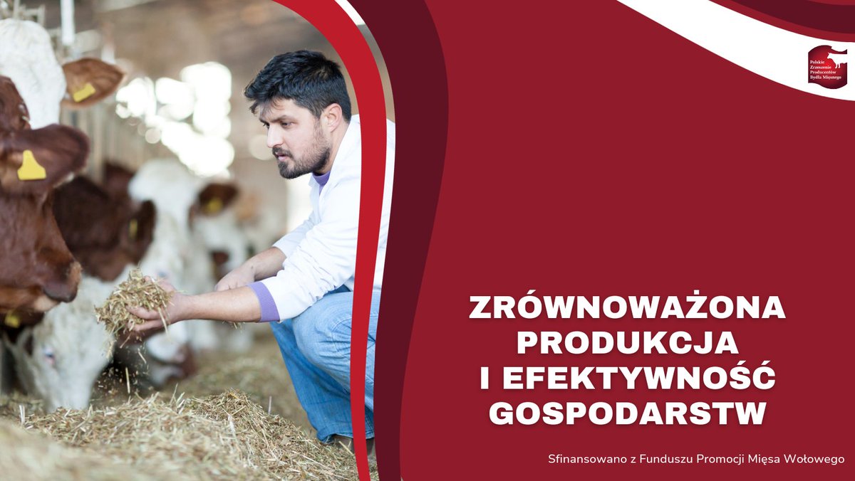 Zrównoważona produkcja wołowiny działa dzięki modelowi gospodarki o obiegu zamkniętym. Nawozy organiczne, efektywne zarządzanie obornikiem i holistyczne podejście do cyklu życia zwierząt wspierają zdrową glebę, produkcję i efektywność gospodarstw. 

#FPMWł #FunduszePromocji