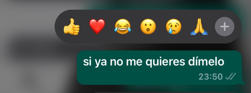 mi personalidad se basa en decir: