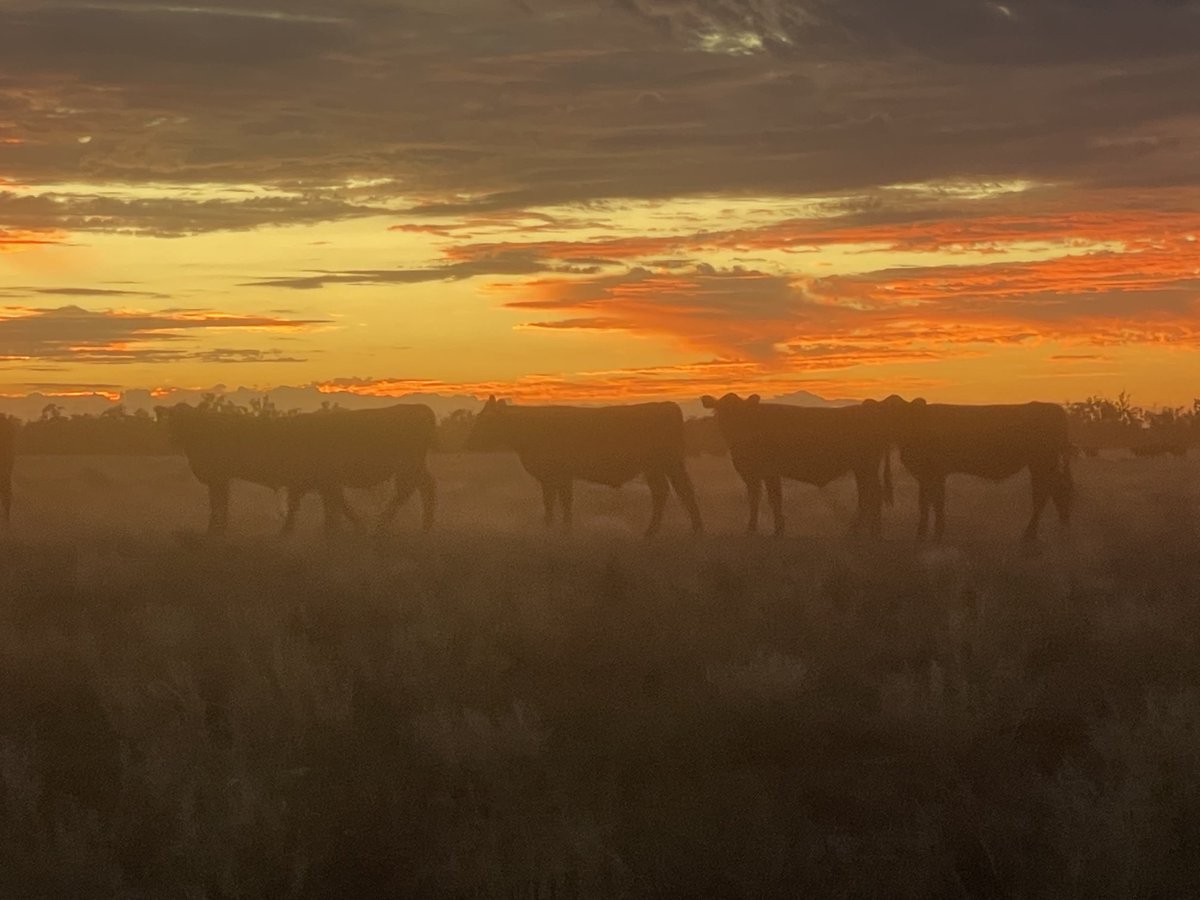 💧Ed Fessey tweet media