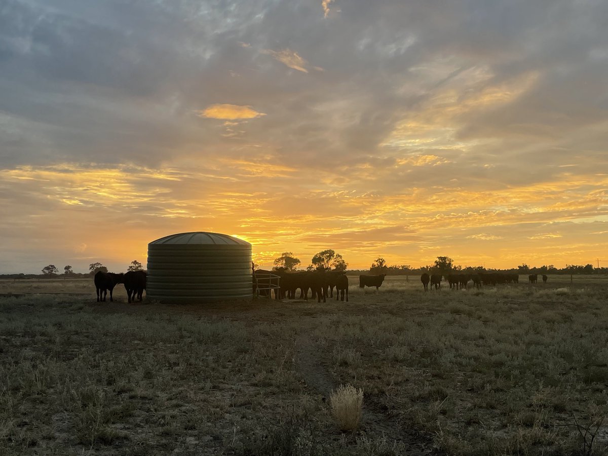 💧Ed Fessey tweet media