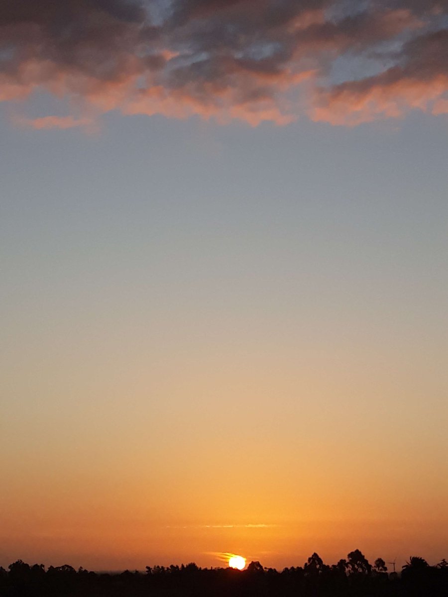 Magda (@magdalenampc) on Twitter photo #Domingo 💕
Y sopla el viento. #Domingo 💕
Y sopla el viento.