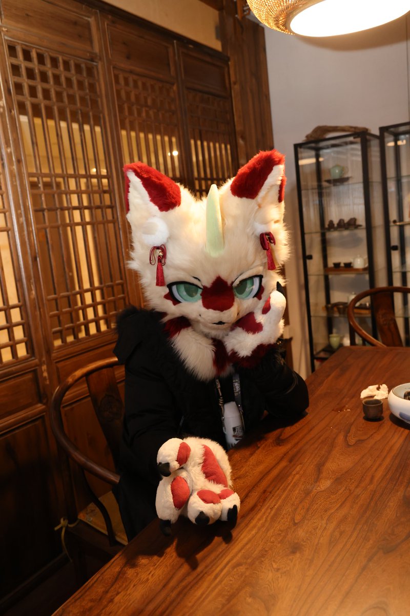 里尔—furry tweet media