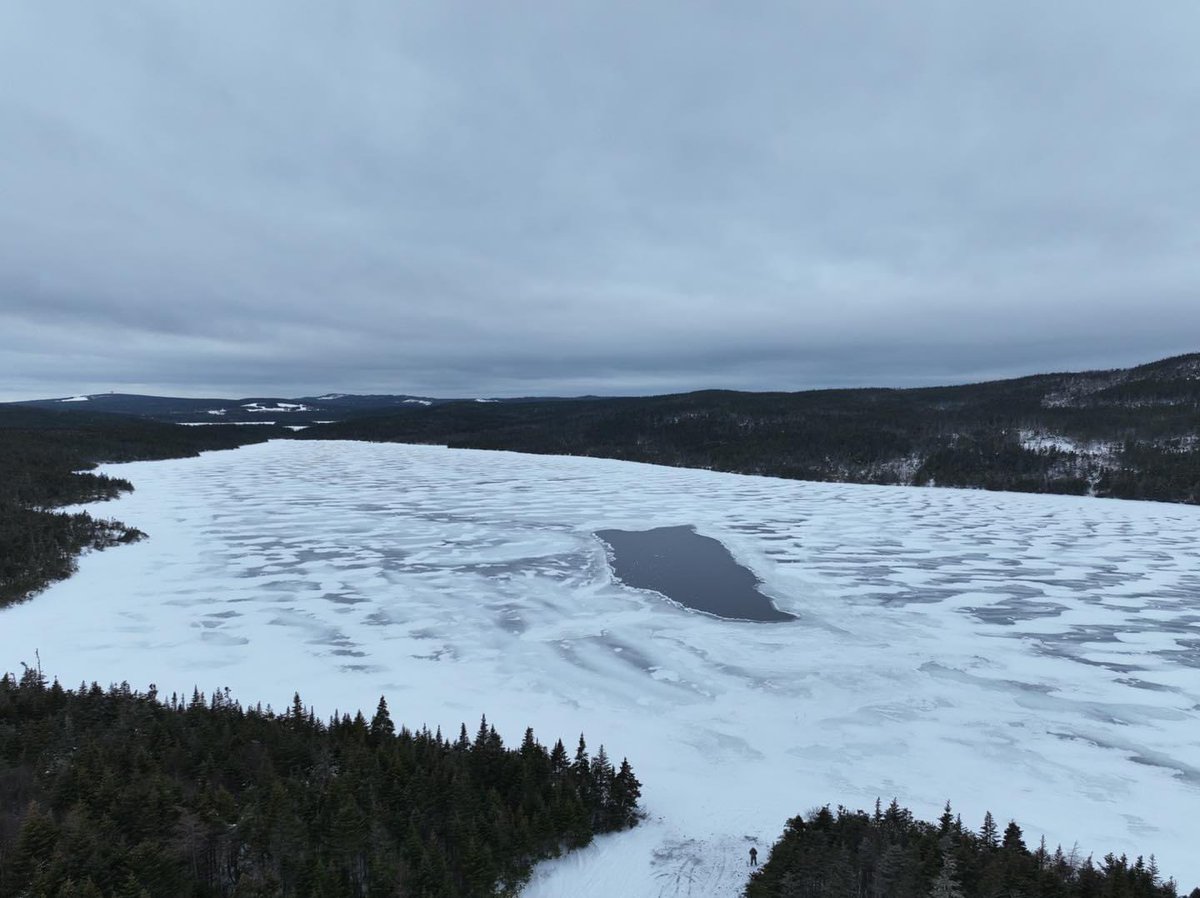 Here are some aerial shots of Medalsis pond. As you can see, it is open quite a bit and with the impending weather, we are concerned this open water will get covered in snow before fully freezing over. 
Please be careful on any ice!!