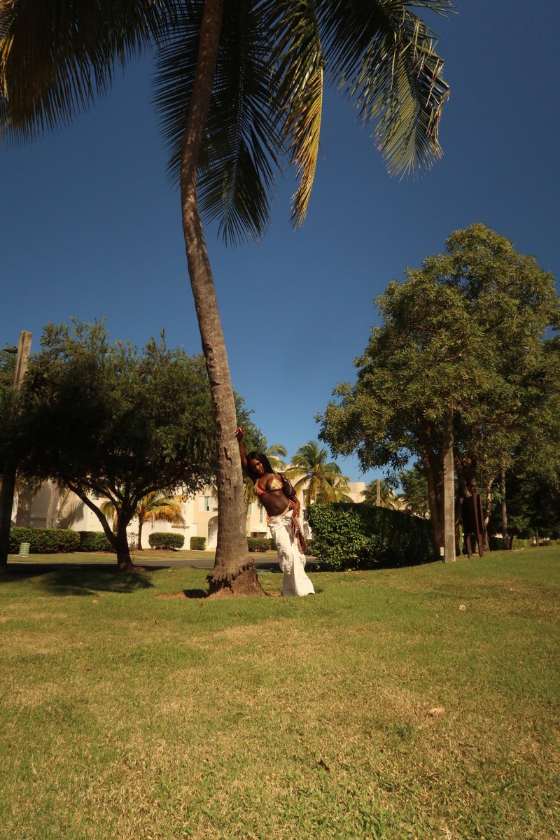 Letty🍉🇵🇸 tweet media