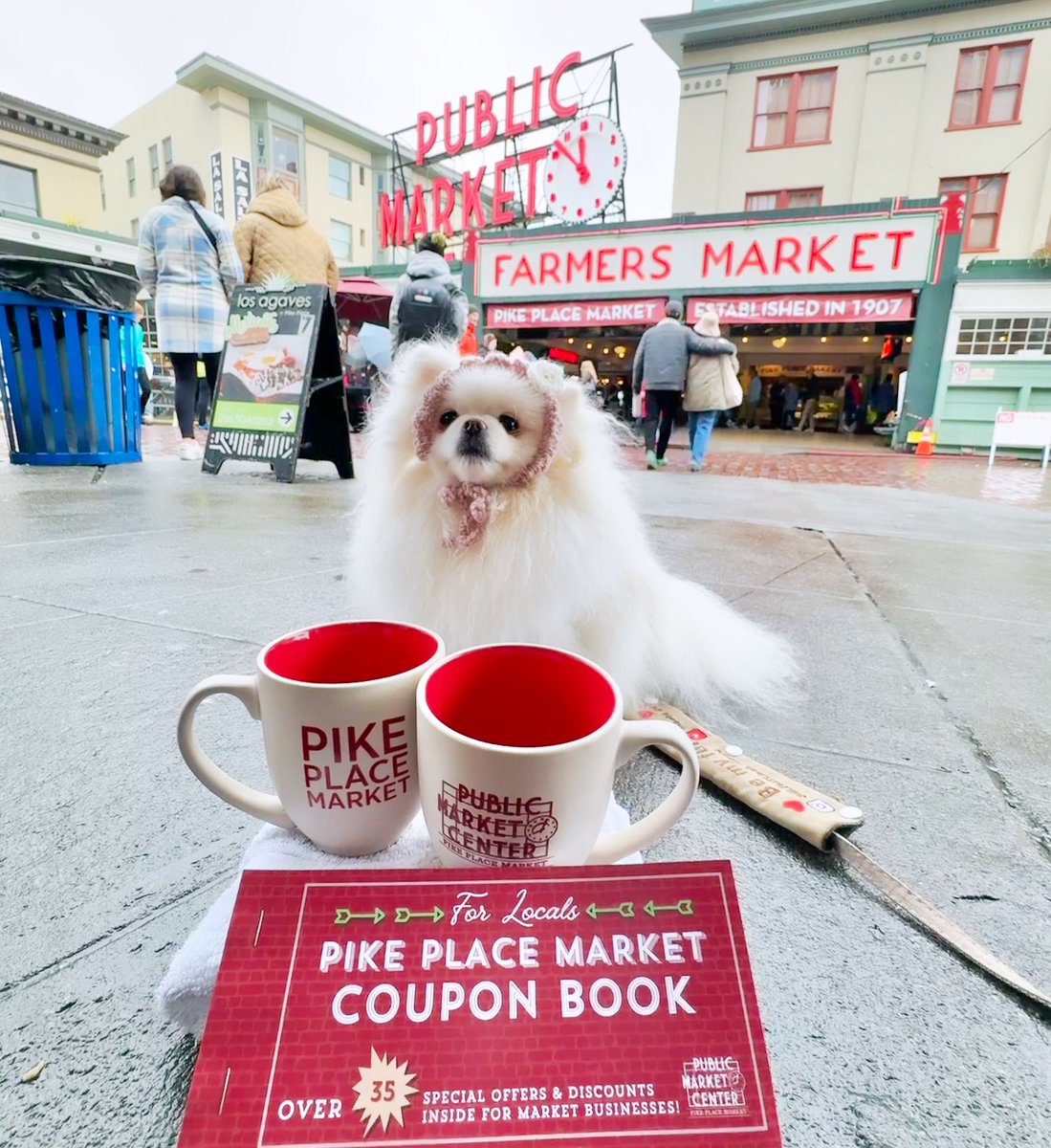 @pikeplacepublicmarket 
#pikeplacemarket #seattleevents #seattledogs #dogsofseattle #dogsofpnw #seattlepomeranians #pnwpomeranian #pomeraniansofseattle #pomeraniansofpnw #pomeranian #strawberryhat  #포메라니안 #ポメラニアン #パイクプレイスマーケット #シアトル #いちご帽子