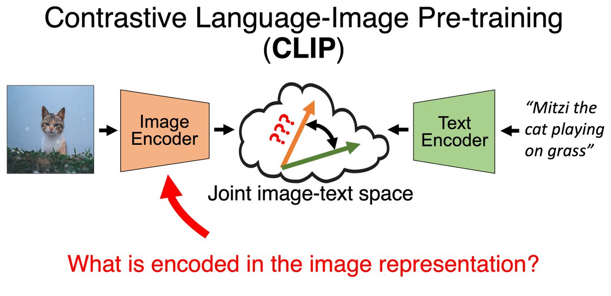 Accepted to oral #ICLR2024! *Interpreting CLIP's Image Representation via Text-Based Decomposition* CLIP produces image representations that are useful for various downstream tasks. But what information is actually encoded in these representations? [1/8]