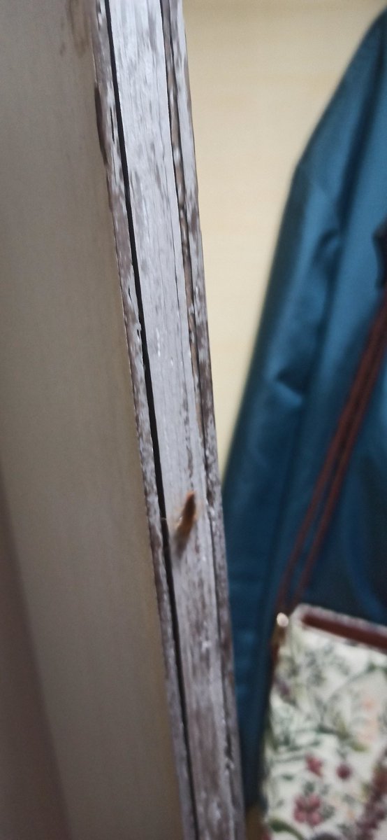 Colourfillslife's tweet photo. Pathetic service in #kalkamail #netajiexpress #IndianRailways 1AC. Leaking packages, egg shells in food, cockroaches, filthy toilets. Improve existing services &amp; cleanliness b4 adding fancy trains, so tax payers don't feel duped! @IRCTCofficial @IndianRailUsers @AshwiniVaishnaw https://t.co/1iF80LRD7t