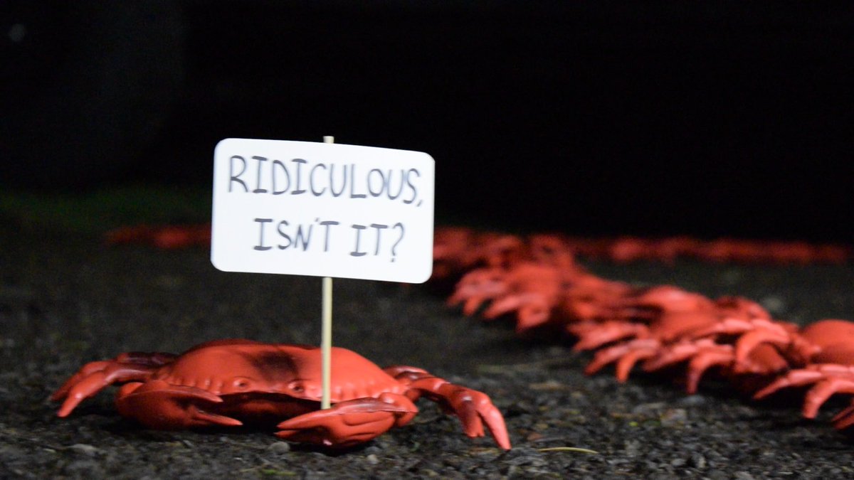 Cocaine Crabs from Outer Space”原題の新タイトルは本編でカニ達が