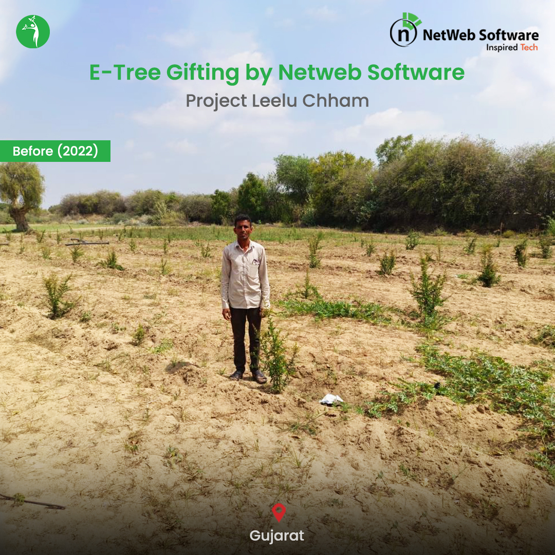 Sankalp_Taru's tweet image. Thank you, Netweb, @netwebsoftware for your commitment to greener future!
Watch the transformation it has brought into the life of farmer Shamlabhai Devrajbhai Patel, who is about to reap the benefits of the Pomegranate plantation!
#SankalptaruFoundation #NetwebSoftware #Gujarat