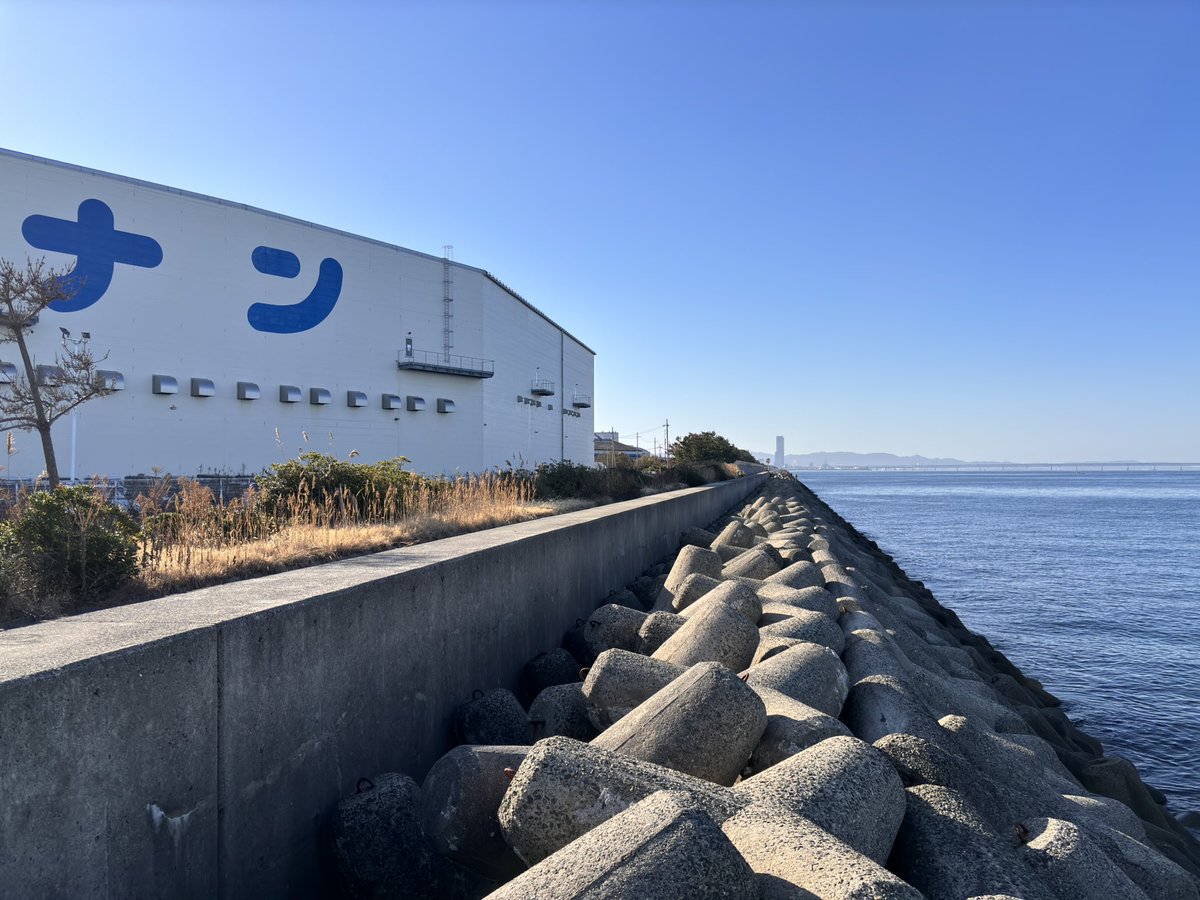 アホ代表やったりました🎶

上げ止まり前に、
離れた左側から縦に潮目が入ってこちらに移動してるのを確認。

広大なテトラ帯貸切状態で潮目と共に移動しながら潮目打ち。

ドーン⁉️
でこれ(・⊝・)v

撮影時に充電切れ起こすも
なんとか撮影出来たので良かったwww

この海は生きとる(・⊝・)