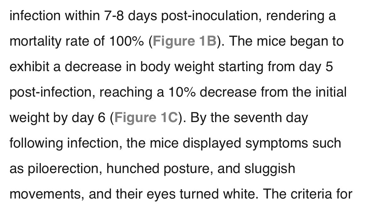 lolitascak3's tweet image. ⚠️ ชิบหายมาก มีการทดลองของนักวิทย์ที่ปักกิ่งเกี่ยวข้องกับกองทัพของจีนซึ่งก็คือ

- ทดลองเชื้อฝาแฝดที่คล้ายกับโควิด
- หนูทดลองจะตายอย่างเร็วภายใน 7-8 วัน
- ชื่อไวรัส GX_P2V อาจหลุดมาแพร่สู่คนได้
- อัตราการตาย 100% หนูติดแล้วก็ตาย
- ผู้เชี่ยวชาญมองว่าอาจซ้ำรอยเหมือนอู่ฮั่น
-…