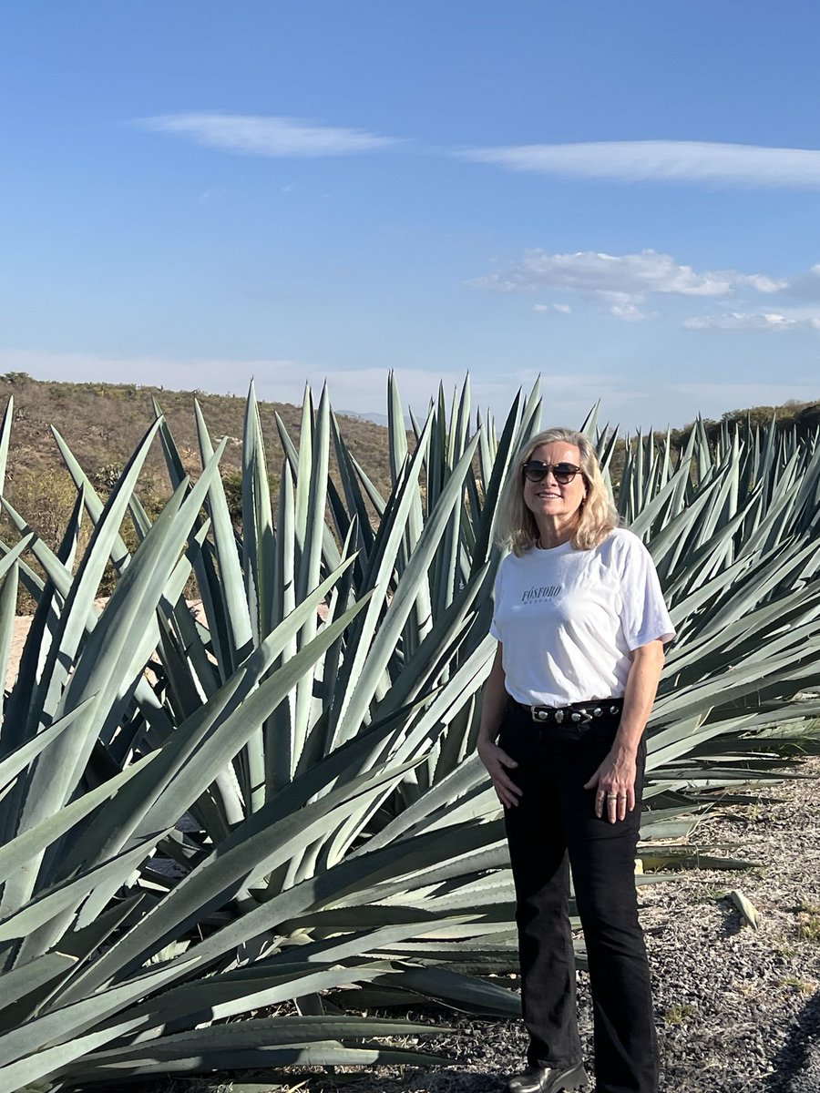 Lisa in our tobala agave field visiting our mezcal producer for ⁦@FosforoMezcal⁩
