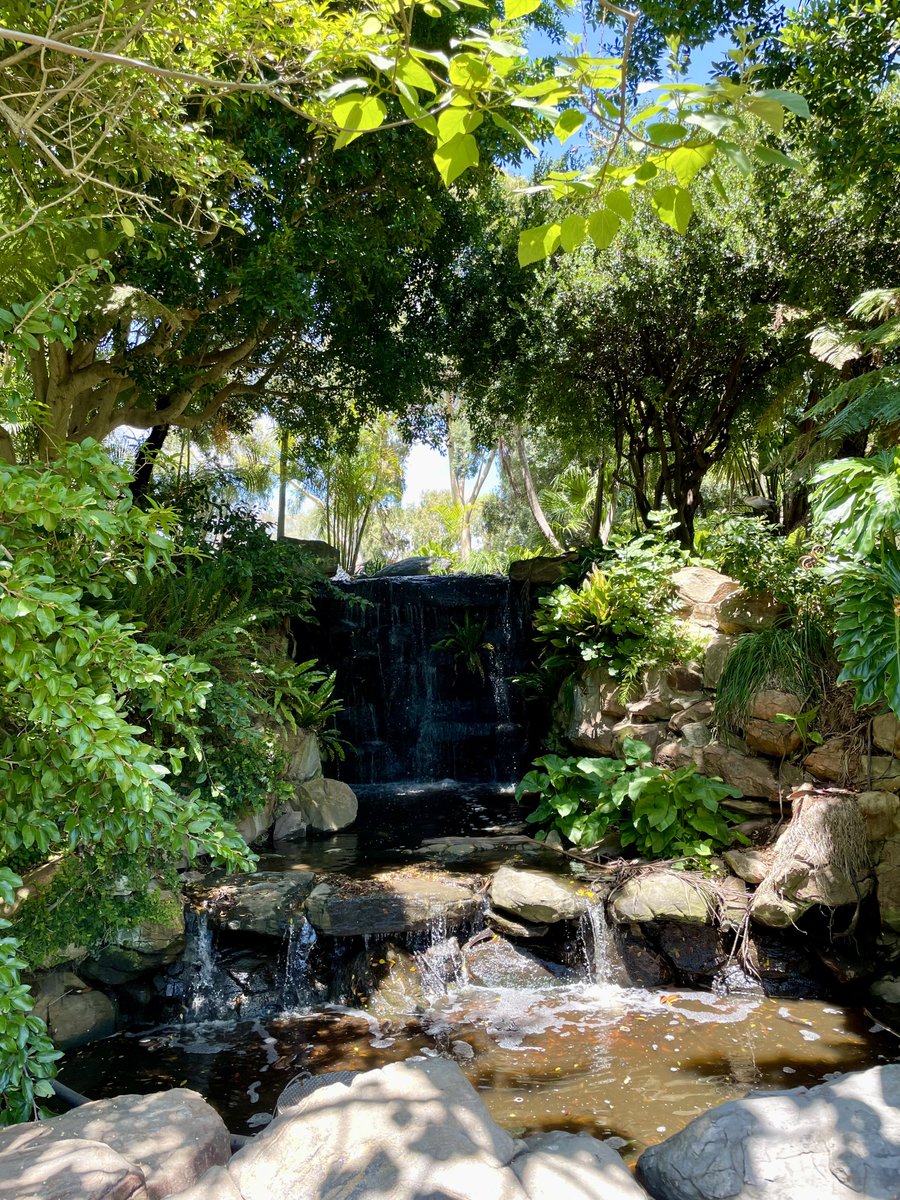 Relaxing nature view on my 2.5k lunch walk around #Adelaide today (Wednesday). Cooler weather today. Sorry I’ve missed replying to many of you over the past week. I haven’t been on here much as life’s been hectic. Run strong. Run happy.