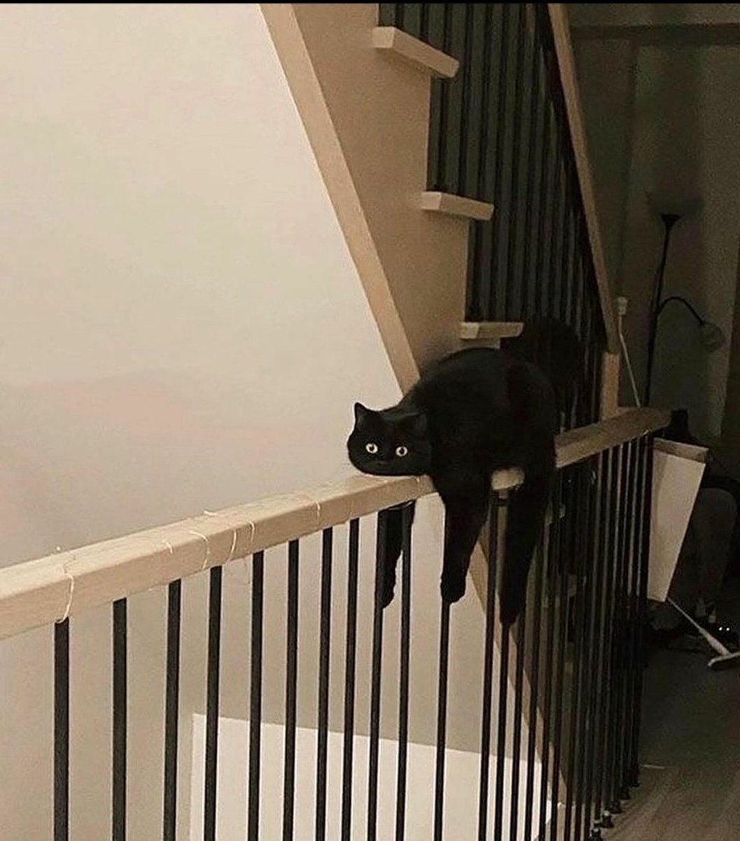 catshealdeprsn's tweet image. 