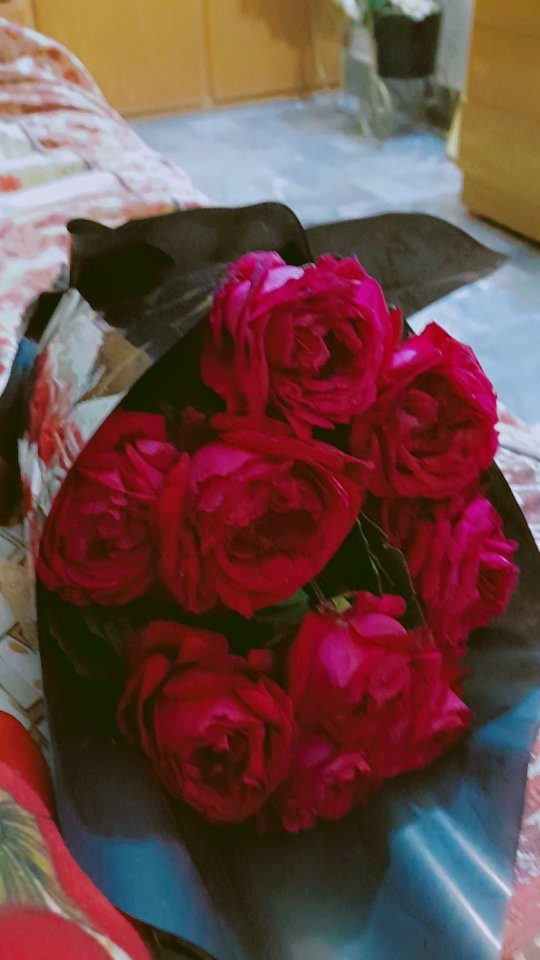Assalam o Alaikum 
Good morning ♥️