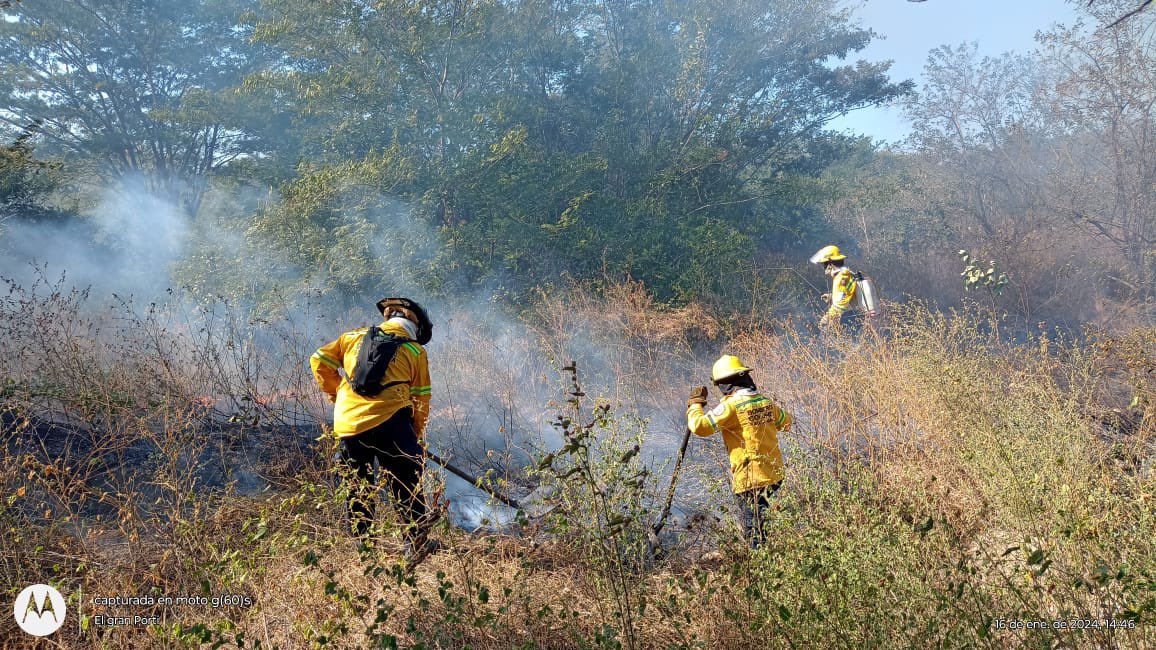 Unidades del Cuerpo de Bomberos Voluntarios de Santa Marta, atendieron emergencia por incendio de cobertura vegetal al lado de la Zona Franca Tayrona, sobre la vía alterna al puerto. 🧑🏼‍🚒

¡Santa Marta, tus Bomberos te cuidan! 🚨🚒