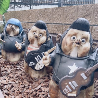 Akounyak's tweet photo. #NewProfilePic https://t.co/0zhIBZx8U3