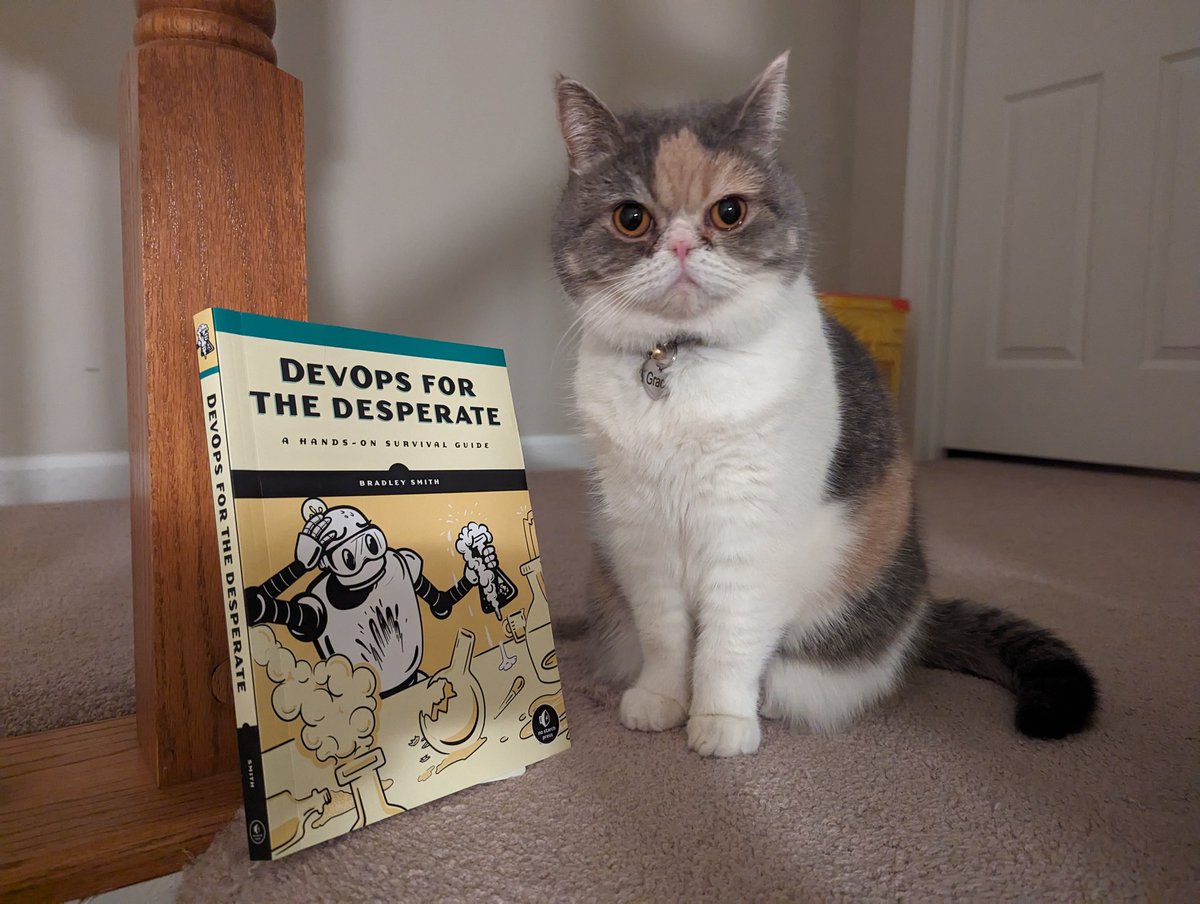 Grace is starting with DevOps before she moves into DevSecOps. #BlueTeamKitty Thanks to @nostarch for a great book!