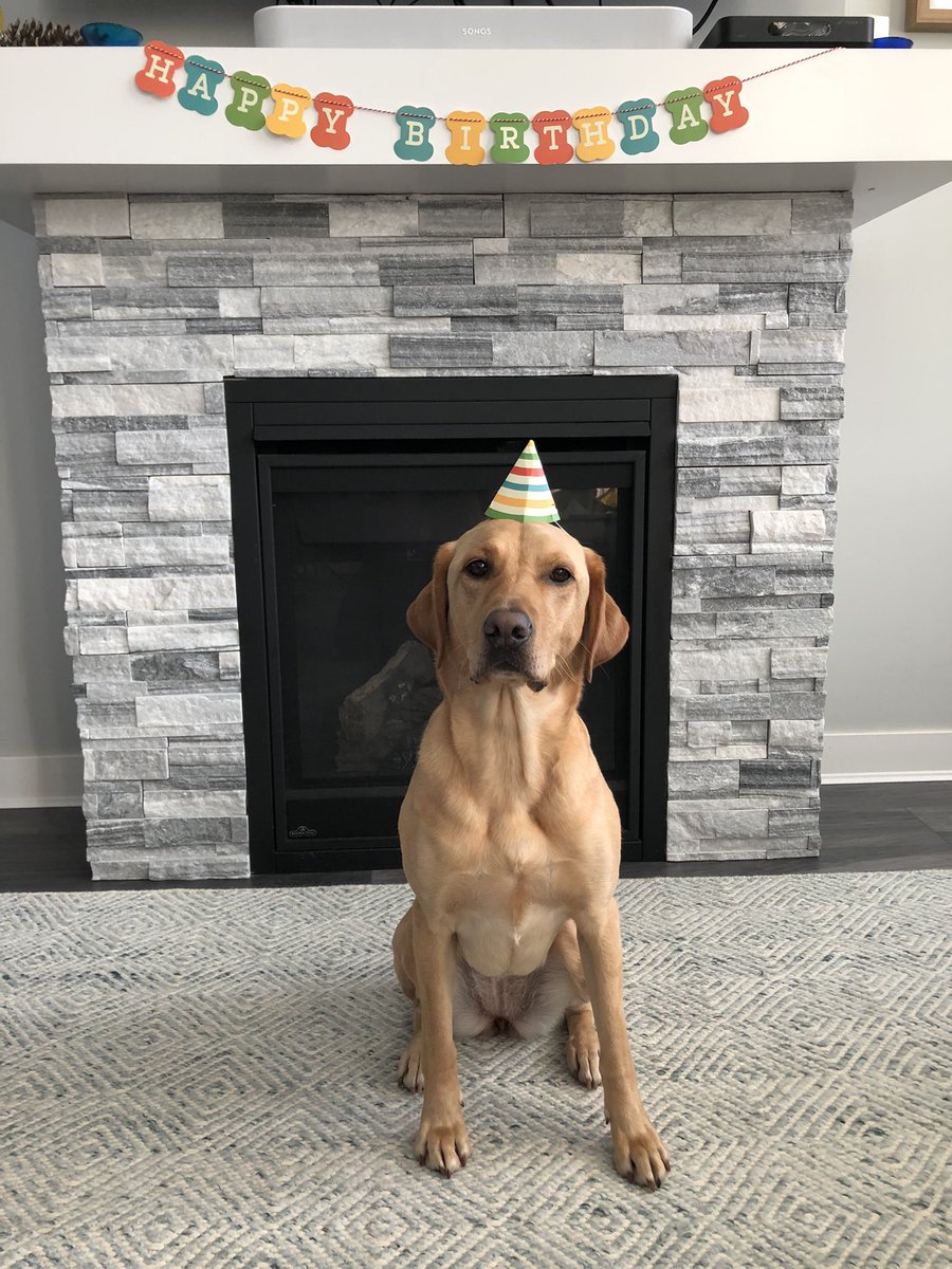 Our sweet girl is four today! 🎈🥰